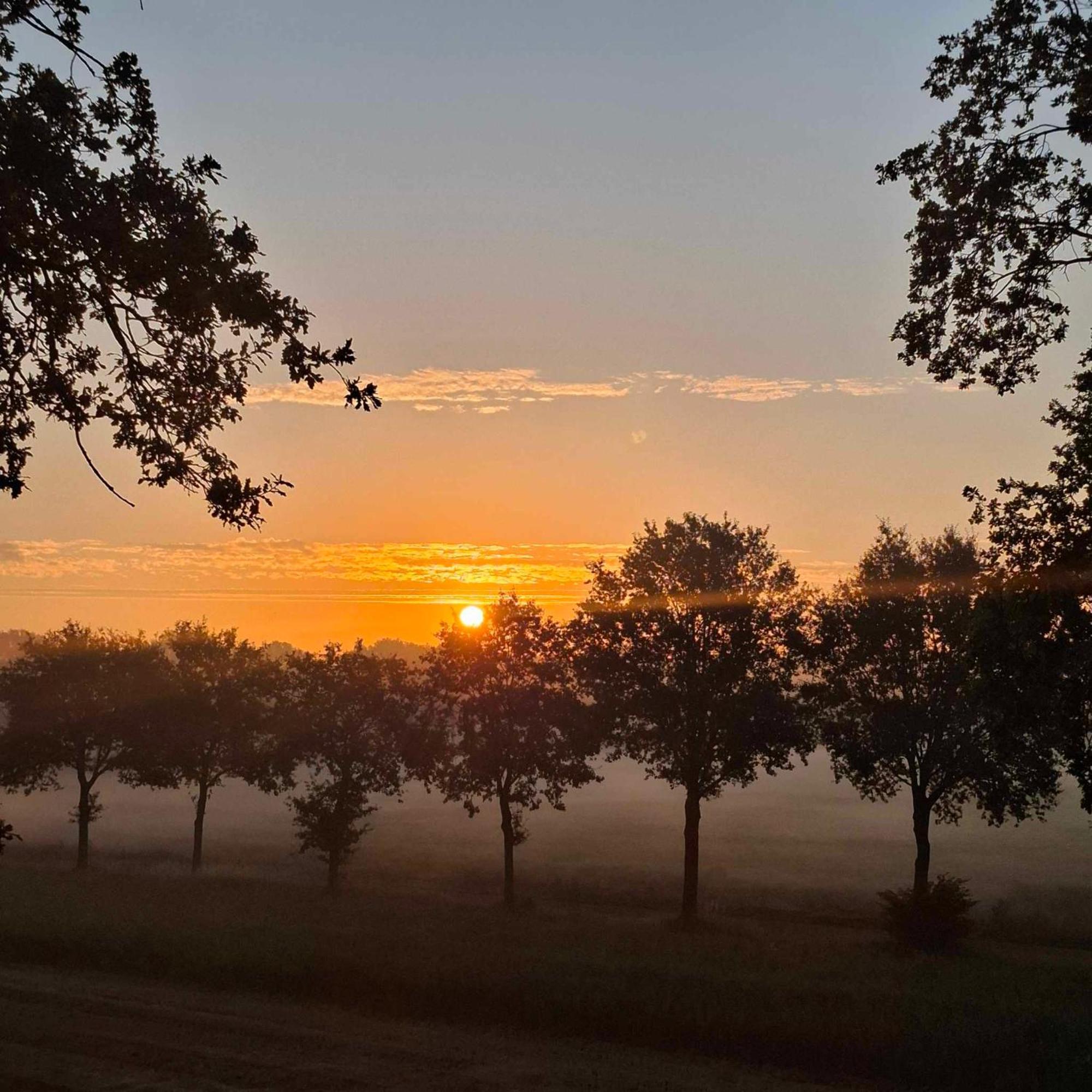Hotel Het Witte Veen Witteveen Bagian luar foto