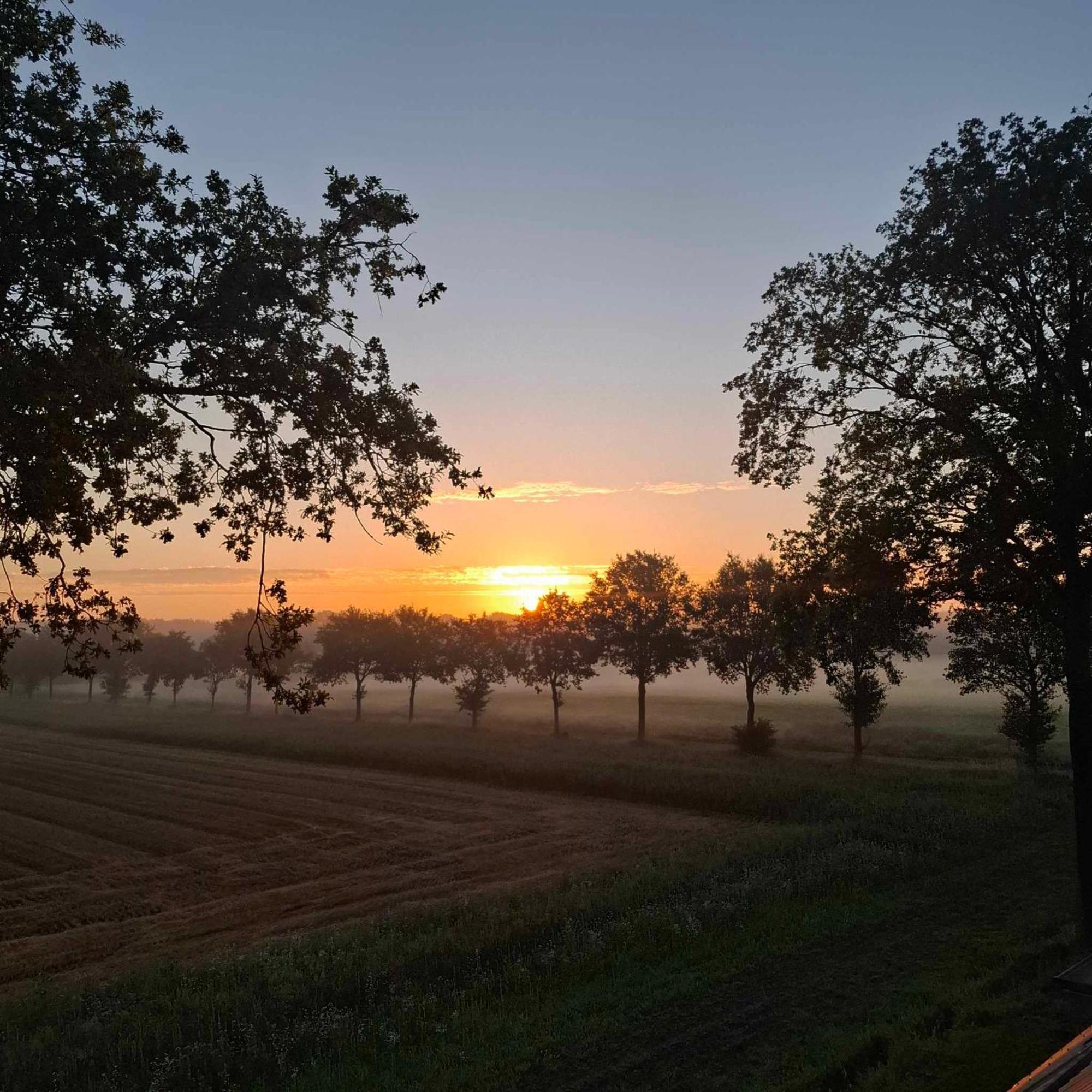 Hotel Het Witte Veen Witteveen Bagian luar foto
